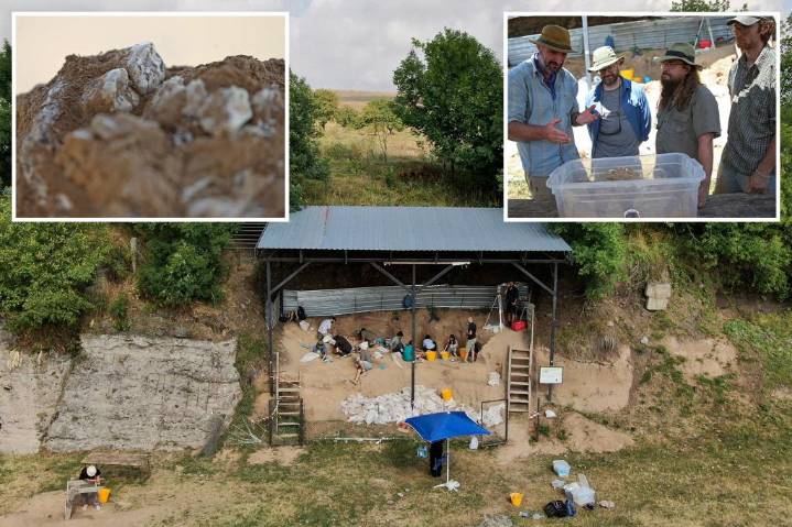 Archeologists discover 1.8 million-year-old human jawbone in Georgia