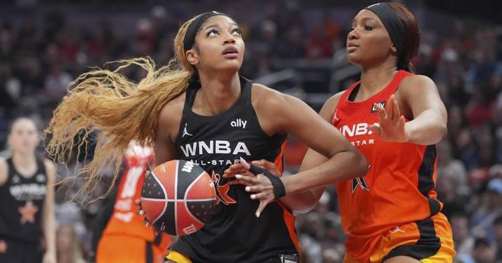 WNBA is attracting more NBA owners. Would the Reinsdorfs