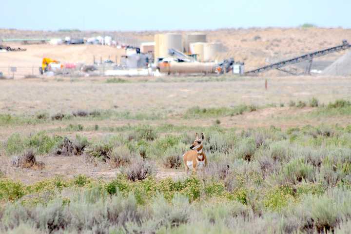 Tribes call on Trump to 'do right for Indian country,' return federal land within Wind River Reservation's bounds