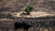 Pascual Cabedo, agricultor: “Abandonar la agricultura es un lujo que no nos podemos permitir”