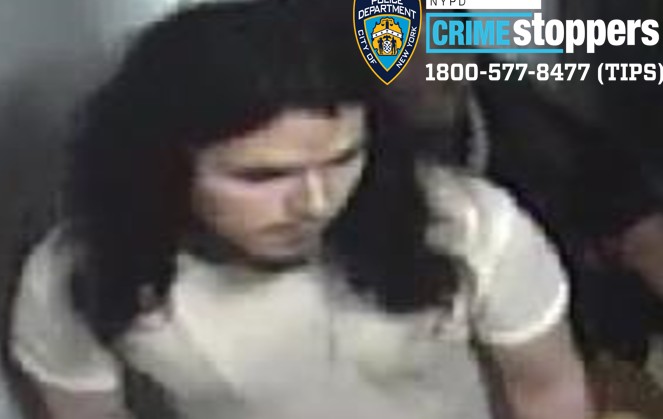 Gunman fires off multiple rounds at South Jamaica Houses NYCHA complex: NYPD