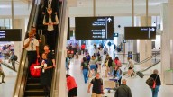 Buenas noticias para Florida: agregan un nuevo vuelo desde el aeropuerto de Tampa a este icónico destino