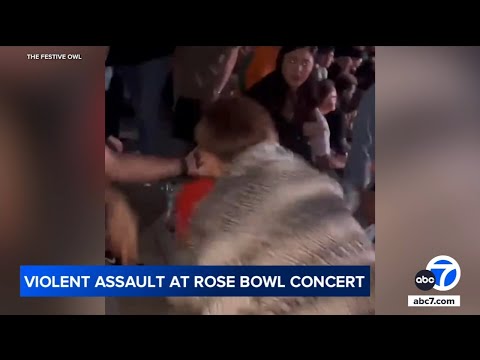 Shocking assault at Rüfüs Du Sol concert leaves woman unconscious