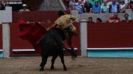 Morante sufre una cornada en Pontevedra