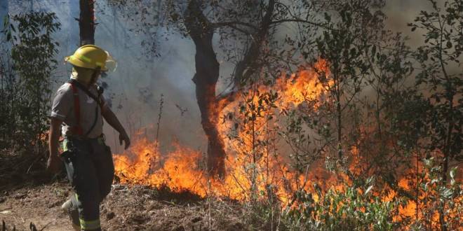 Incendios forestales en Tabasco afectan a 54 mil hectáreas