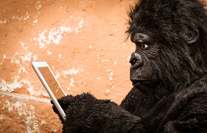 Gorilla Technology Should Be On Your Watch List (NASDAQ:GRRR)
