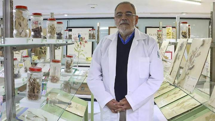 De tradición a ciencia: el herbario del IMSS resguarda 17 mil plantas para crear nuevos medicamentos