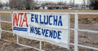 La Justicia frenó casi 300 pases a disponibilidad en el INTA: había empleados en Neuquén alcanzados