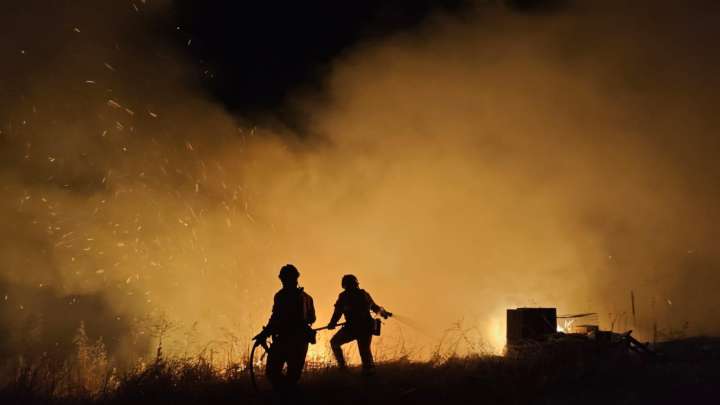 Sin gestión forestal, los incendios no se apagan: la advertencia desde el medio rural