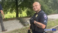 Alligator spotted and captured at the University of South Alabama