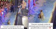 ‘Ese perrito tenía pase VIP, qué bello’: cantante detiene su concierto para no afectar a un lomito en el público