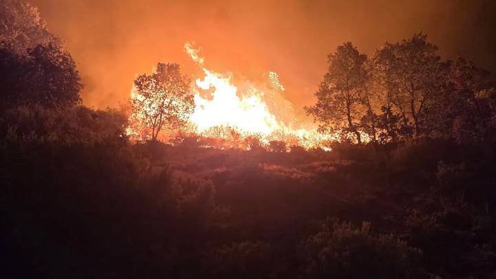 El fuego de Jarilla ya ha arrasado más de 12.000 hectáreas y continúa desbocado: "Este incendio es un monstruo"