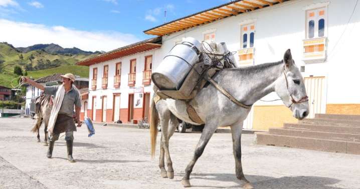 El Paraíso del Norte de Caldas está de fiesta: conozca la programación del 15 al 18 de agosto