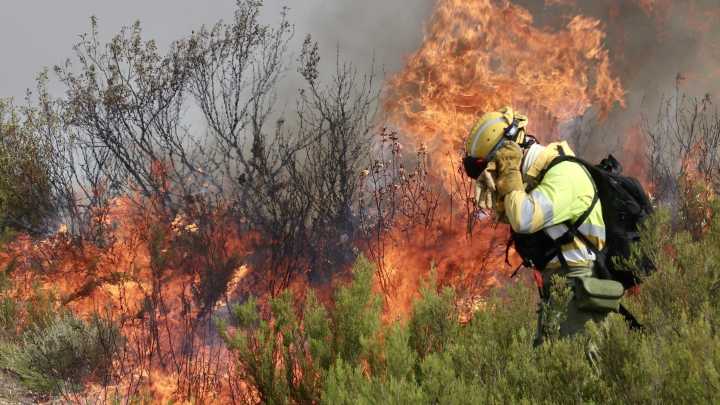 Los incendios en España queman demasiado dinero: se invierte poco en prevención y las consecuencias son nefastas