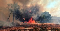 Más de 100 incendios activos en Grecia debido a los fuertes vientos y la sequía