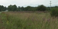 What happened to Franklin County osprey platform?