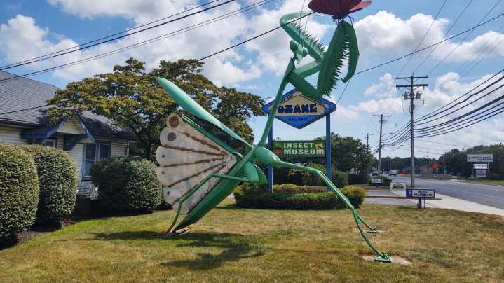 There are more interesting places to take your kids than the beach