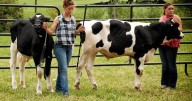 Northumberland County Fair to mark its 25th anniversary