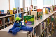 School librarian furious over opposition to pornography in schools | VICTOR JOECKS 