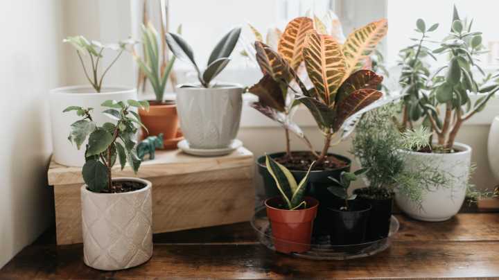 The Internet Is Buzzing Over This Bizarre Ceramic Hack, But Does It Actually Work?