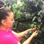 Con café, el Cauca lidera una revolución verde