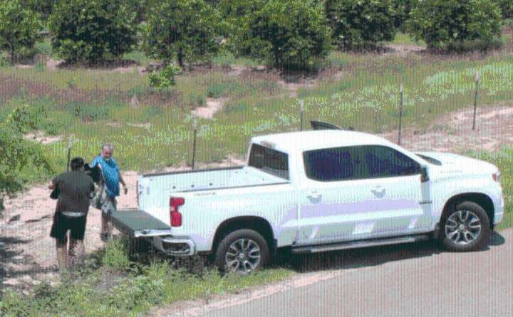 Palmview PD: Illegal dog dumping case remains under investigation