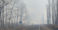 Tránsito complicado entre Allen y Roca: piden circular con precaución por la presencia de humo en la Ruta 65