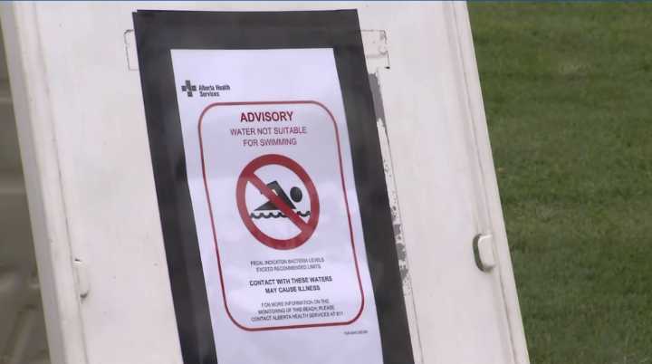 No swimming in part of Chestermere Lake due to elevated fecal bacteria levels: AHS