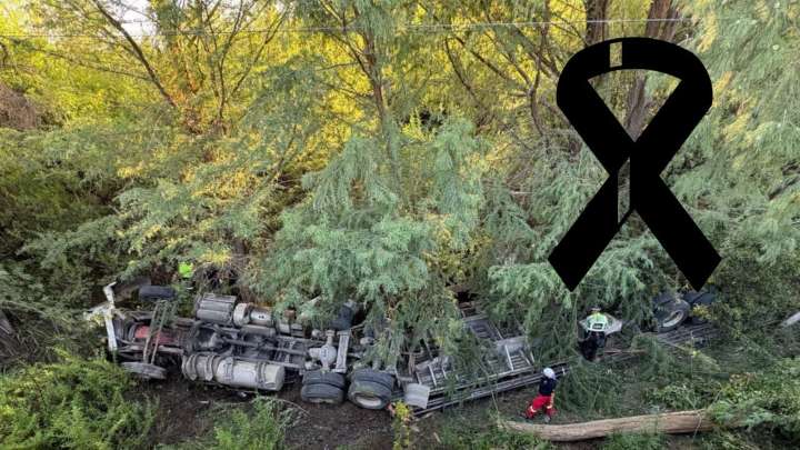 Tráiler cae de un puente en la Carretera Nacional; chofer murió aplastado