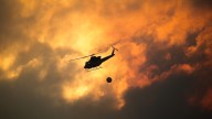 Los incendios de Galicia y de Castilla y León pierden fuerza tras semanas de devastación