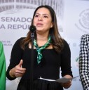 PVEM no dará “cheque en blanco” para reforma electoral de Sheinbaum; “pluris muy importantes”, dice