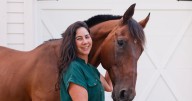 Milton rescue Joyous Acres gives horses a second chance