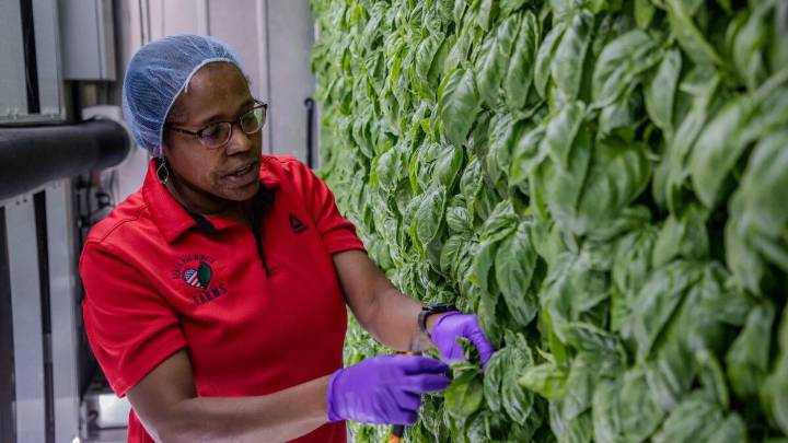 Midwest farmers left in limbo after USDA canceled a regional grant program