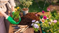 11 Things To Do In The Fall To Prepare Your Garden