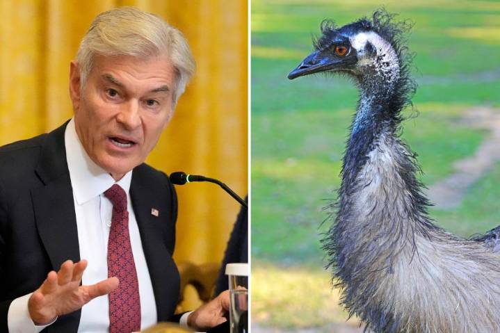 Dr. Oz urges Canada to toss aside court ruling to save the ostriches