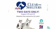Looking to adopt a pet? Animal Foundation waives all adoption fees this weekend