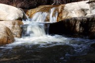 California State Parks promote free passes, learning programs for students