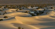 Searing heat draws visitors to California's Death Valley