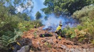 Los bomberos aragoneses en los incendios de León: "Estamos trabajando a mano porque las autobombas no pueden llegar"