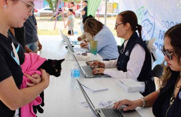 Protegen a 3 mil mascotas con Registro Municipal