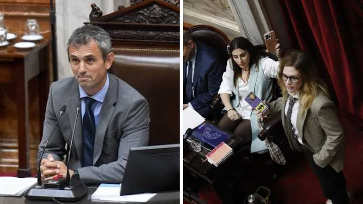Revelan un chat entre Lilia Lemoine y Martín Menem en plena sesión: "Es culpa de Santi Caputo..."