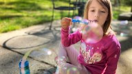 Vote now: Pick the winners of the 2025 Celebrate Michigan Photo Contest