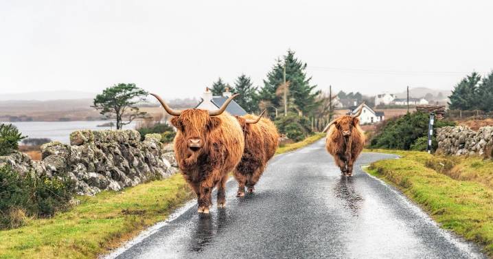 'I travelled to the Scottish island no one talks about and found something magical'