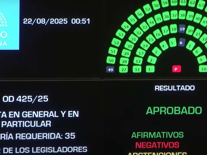 Uno por uno, cómo votaron los senadores para aprobar la ley Garrahan de emergencia pediátrica
