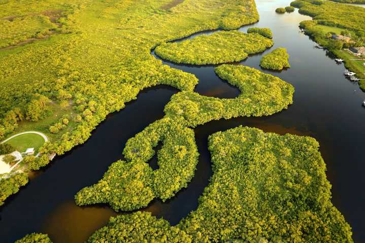 ‘Good To See Someone Has Guts:’ Judge Orders Radical Changes To Controversial Facility To Protect The Florida Everglades