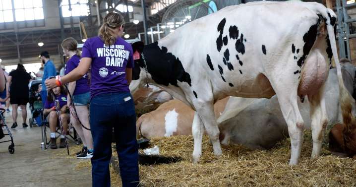 'There's gonna be some pain in the meantime': Wisconsin farmers react to tariffs