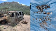 Investiga FGJES hallazgo de restos óseos y camionetas calcinadas en ruta Sáric