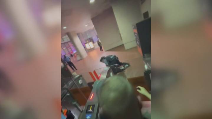 DC councilmembers question Metro police use of force during alleged fare evasion arrest