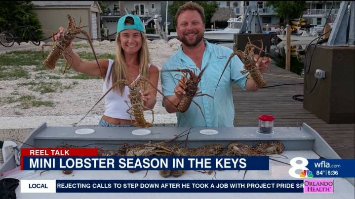 Reel Talk: Catching, cooking Florida Spiny Lobster