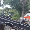 Cayó un árbol frente al Obelisco de San Jacinto en Maracay